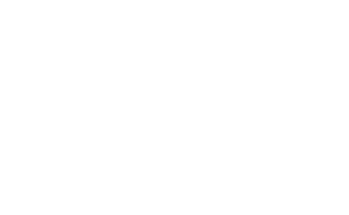 Gega Şanzıman Logo