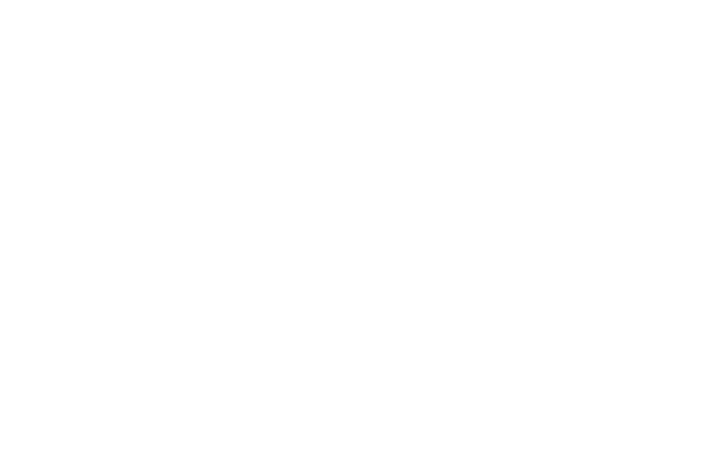 Gega Şanzıman Logo